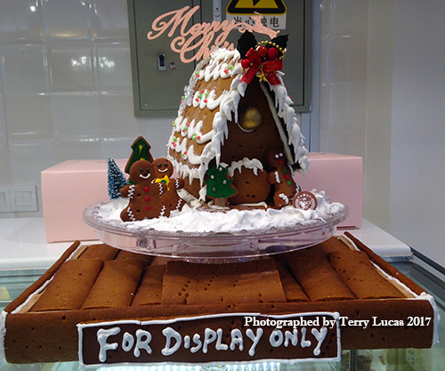 Terry-Lucas-Ginger-bread-Christmas-Photo